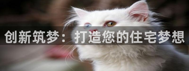 NG体育网