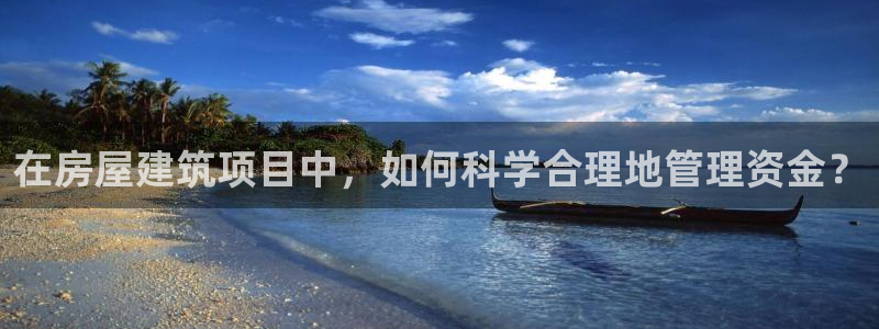 NG体育管理集团